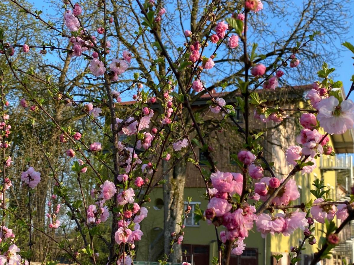 Villa Quintana Kunzing Exteriör bild